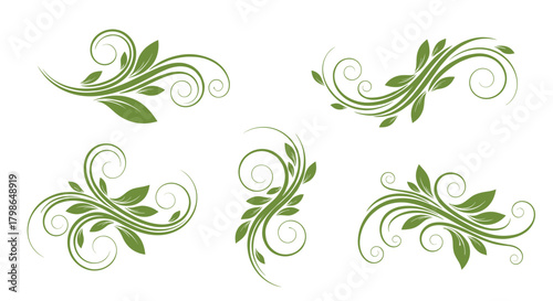 Green leafy floral swirls and decorative ornaments for design purposes.