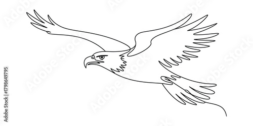 Flying eagle continuous line drawing, majestic bird of prey art