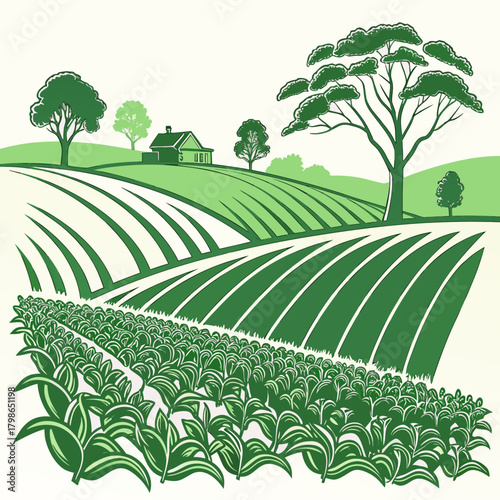 Picturesque farmland with rows of crops and a charming farmhouse isolated on