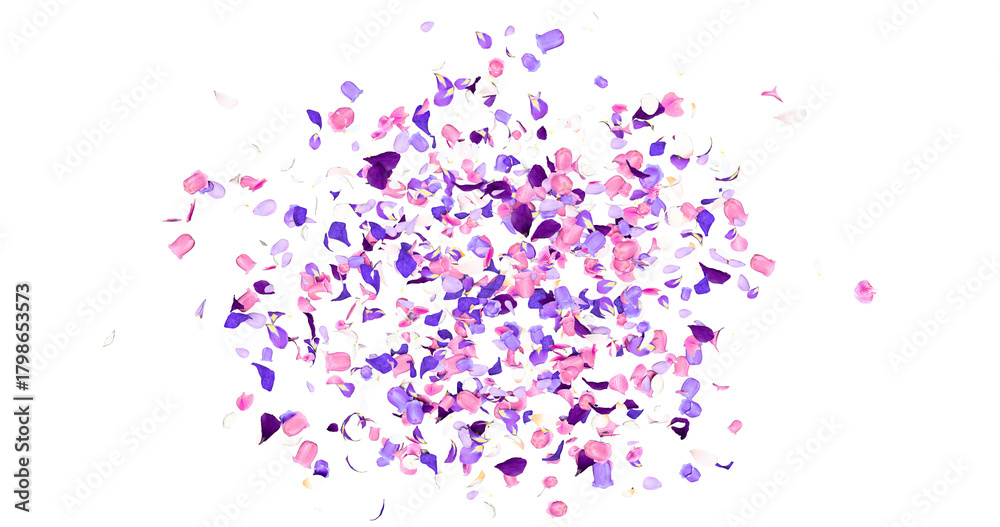 Fototapeta premium Purple flower petals sway in the wind. Colorful several flowers. Isolated on alpha background. 3D rendering.
