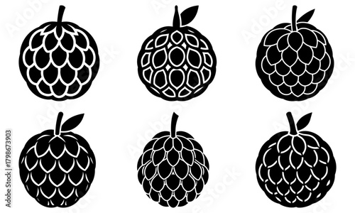 Collection of six custard apple illustrations in black and white showing different styles and patterns