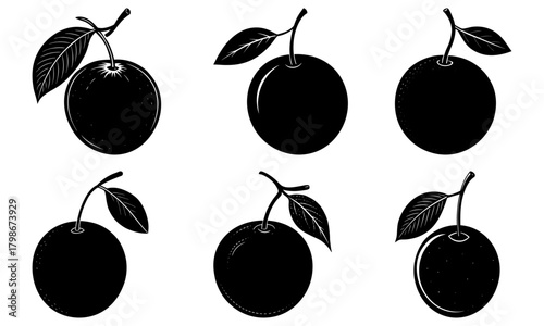 Illustration of six plums with leaves in black and white showing different perspectives and arrangements