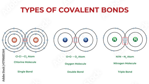 Types of Covalent Bonds Educational Chemistry Illustration