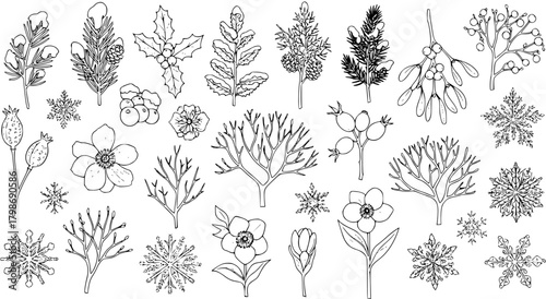 Hand-drawn Winter Botanical Elements  Snowflakes Collection. Outline art of festive plants, berries, branches, and frozen crystals for seasonal designs.