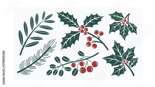 Christmas Botanical Elements Holly Pine Branches Berries Vector Art berry