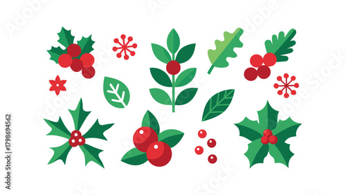 Colorful Flat Design Christmas Botanical Elements Holly Berries Leaves Icons berry