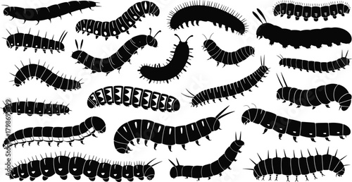 Centipede and millipede silhouette set showing segmented body variations for entomology, biology education, insect taxonomy, and scientific illustration