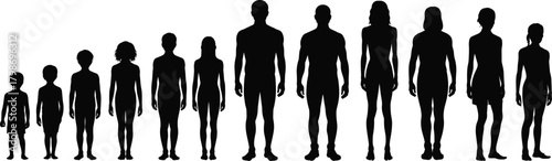 Front and back anatomical outline drawings of male and female bodies, ideal for medical reference, anatomy study, fashion design templates, and professional vector illustration use
