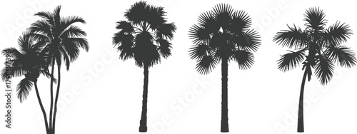 Palm Tree Silhouettes – Tropical Flora Icons, Botanical Diversity, Frond Structures, Coastal Landscape Elements, Nature Illustration, Exotic Tree Vector Set