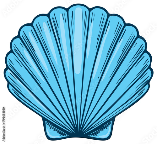 Blue seashell illustration in hand drawn style