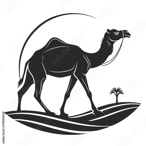camel on the beach