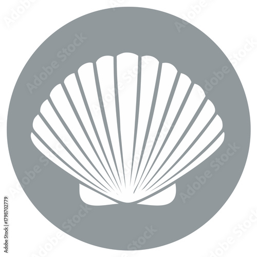 White seashell inside a gray circle, vector illustration