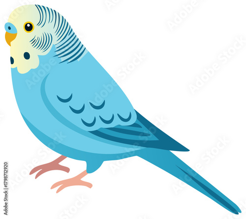 Illustration of a blue budgerigar parakeet, pet bird perched, simple vector icon