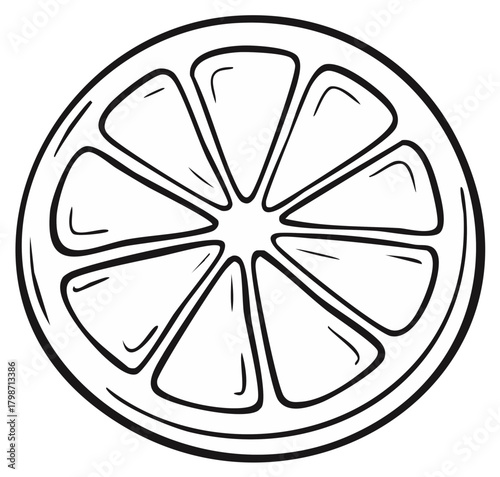 Hand Drawn Fruit Slice Illustration Round Citrus Cut Black and White Graphic Element