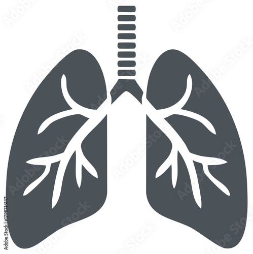 Human lungs anatomy vector illustration for medical or healthcare projects