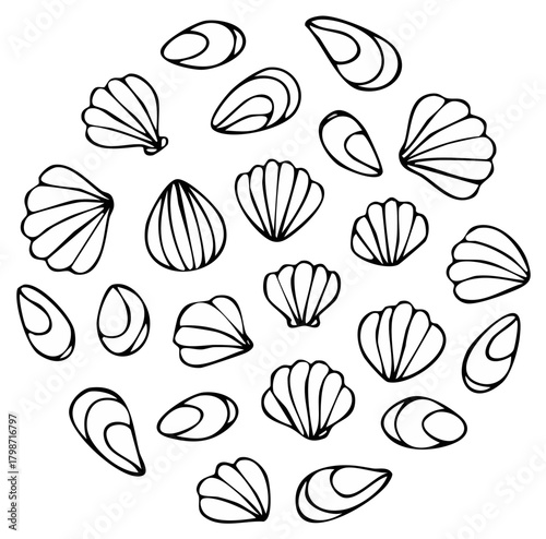 Elegant hand drawn outline illustration featuring various seashells and mussels arranged in a beautiful circular pattern