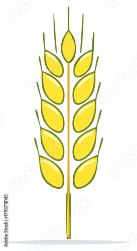 Stylized cartoon illustration of a single golden wheat stalk Cereal grain harvest symbol for agriculture
