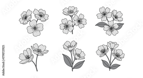 A collection of six detailed grayscale botanical illustrations depicting delicate spring blossoms and foliage.