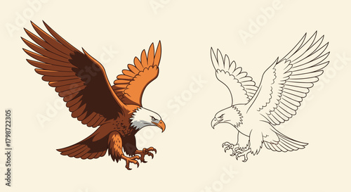 Vibrant illustration of a powerful eagle with outstretched wings and sharp talons, paired with its elegant line art sketch on a light background.