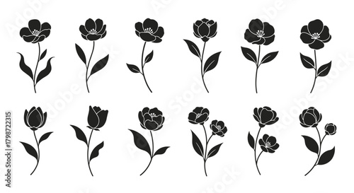 Elegant collection of black flower silhouettes, featuring various blossoms and buds with delicate stems and leaves, isolated on white.