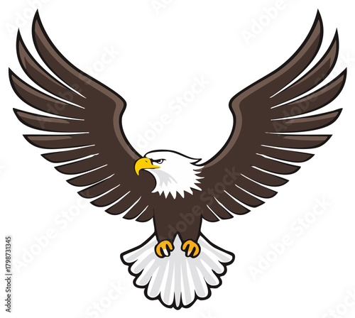 Eagle illustration of bird with powerful open wings in flight depicting majestic flying nature emblem strength freedom symbol