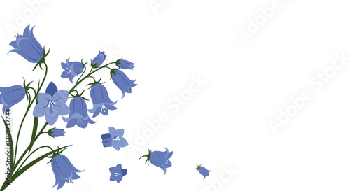 Bluebell flowers in various stages of bloom and scattered petals adorn a pristine white background, creating a serene floral design.