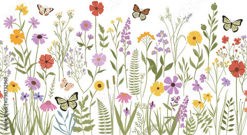 A colorful array of cheerful wildflowers and graceful butterflies creating a lively and natural spring or summer border on a white background.