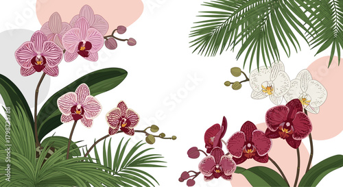 Elegant illustration of colorful orchids and tropical palm leaves on a white background with abstract pastel shapes, perfect for botanical designs.