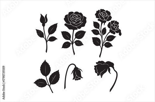 Elegant black silhouettes of roses in various stages of bloom and decay
