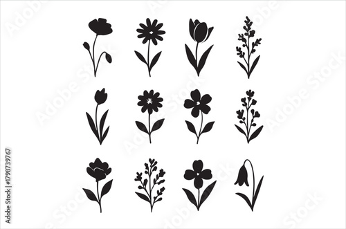 A collection of various black silhouette floral elements arranged in a grid pattern