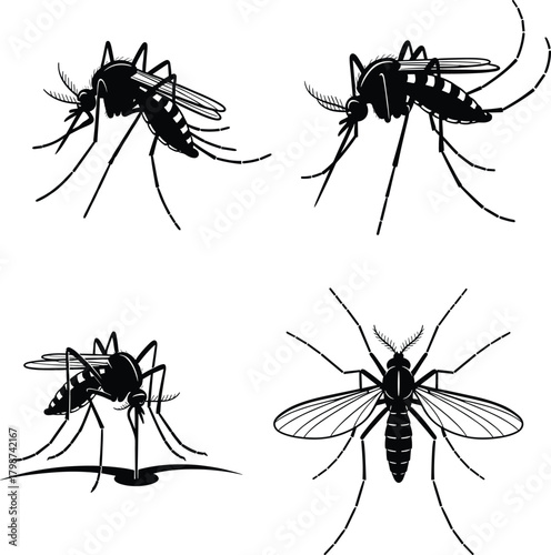 Detailed Mosquito Silhouette Set Featuring Wings and Feeding Positions