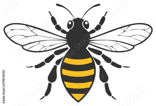 Stylized honeybee vector illustration with black and yellow stripes top down view