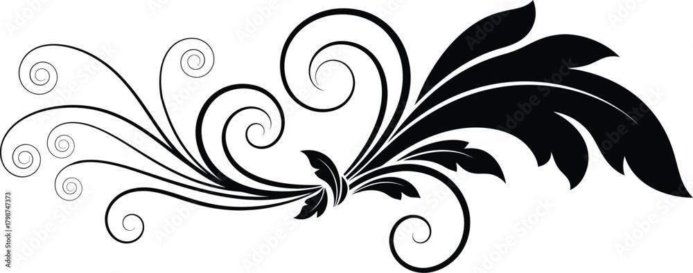 Fototapeta premium Elegant black flourish swirls and leaves decorative element