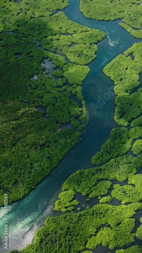 Wallpaper Mural Green mangrove forest with winding blue river flowing through dense vegetation. Siargao, Philippines. Torontodigital.ca