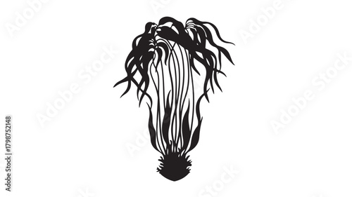 Bold black and white tropical plant silhouette creating striking modern botanical design, perfect for elegant backgrounds, invitations, or minimalist branding projects