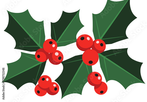 Holly leaves and berries in festive red and green for Christmas and New Year background  