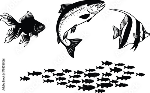 Fish vector set with goldfish salmon angelfish and school of small fish
