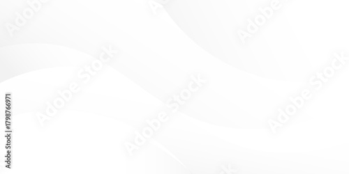 Abstract minimalist white and gray curve modern background. texture white pattern. vector illustration