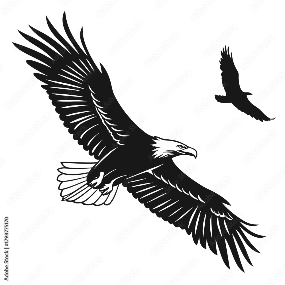 Obraz premium eagle vector illustration