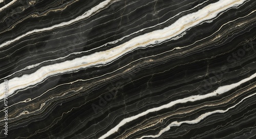Elegant black and white marble texture with natural veins for design