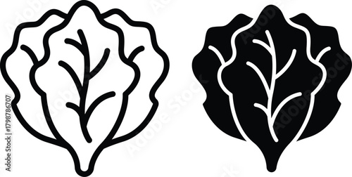 Whole Head Of Ruffled Lettuce Leafy Vegetable Outline And Solid Vector Silhouette and Pictogram..eps