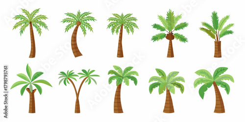 Collection of diverse cartoon palm trees in various shapes and sizes on a white background