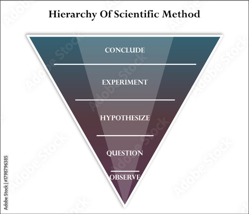 Hierarchy of Scientific Method. Infographic template with icons and description placeholder