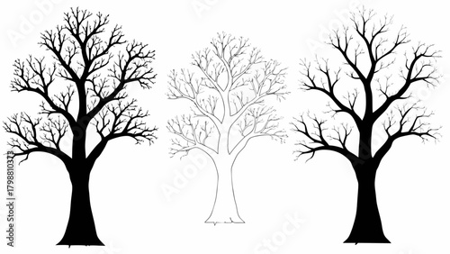 Striking bare trees convey stark beauty, nature's artistry, and organic growth, perfect for seasonal designs and creative projects, originally a scalable vector graphic