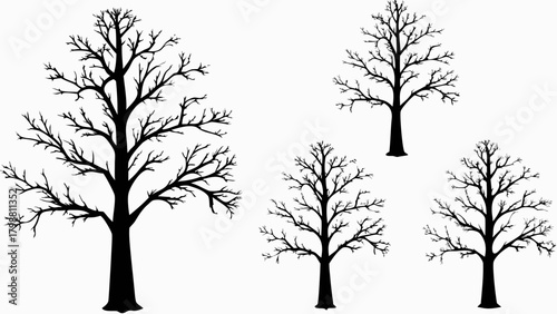 Dramatic bare trees silhouette art for nature designs, autumn season themes or winter landscapes, scalable for custom projects, from a vector origin.