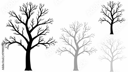 Silhouetted trees stand starkly against a bright sky, evoking a sense of winter's quiet beauty and artistic design, perfect for nature-inspired themes