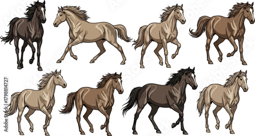 Vector illustrations of diverse horses in dynamic running and trotting poses, showcasing varied coat colors and powerful forms, ideal for equestrian and animal designs