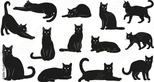 Silhouette Cats A Collection of Black Cat Illustrations with Elegance and Mystery