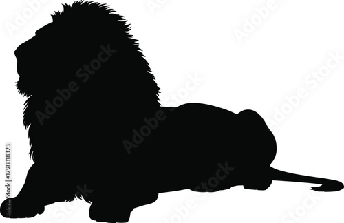 Majestic lion silhouette resting gracefully on ground with detailed mane, strong posture, wildlife animal illustration design for creative graphic use