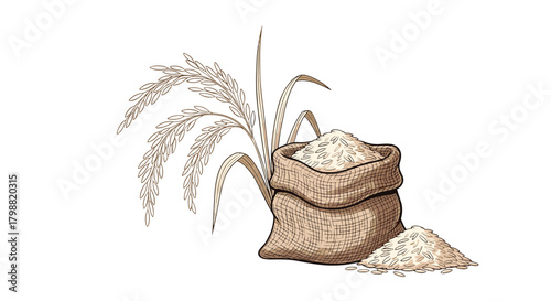 Detailed illustration of a mature rice plant with grains, an open burlap sack full of rice, and loose rice, for themes of agriculture and food.